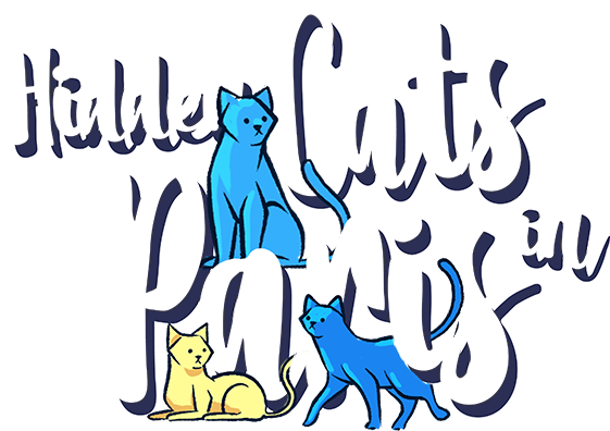 Hidden Cats in Paris